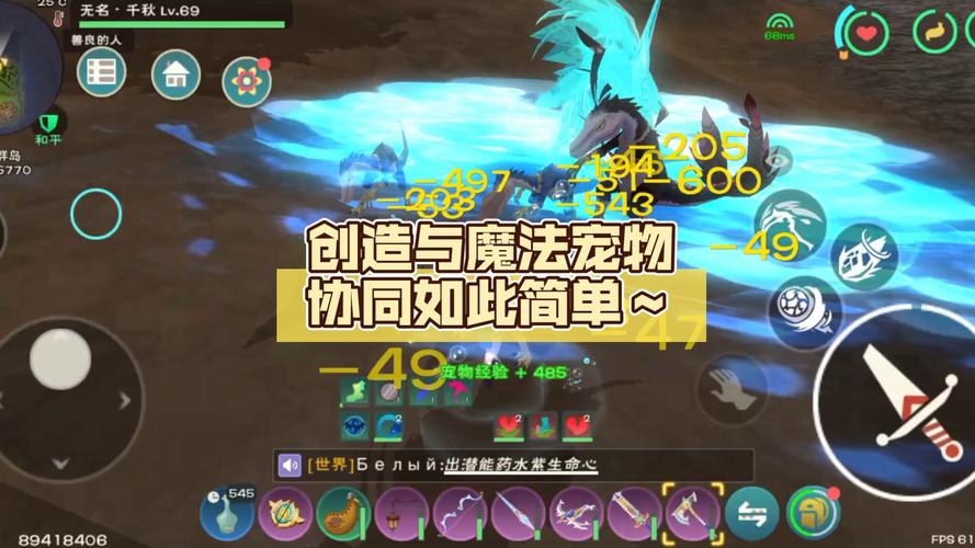 创造与魔法彩壳龟资质全解析及趣味玩法探索