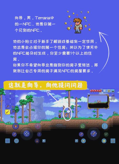 泰拉瑞亚探险指南，揭秘空岛之谜，全地点坐标大公开，探索无限奇遇