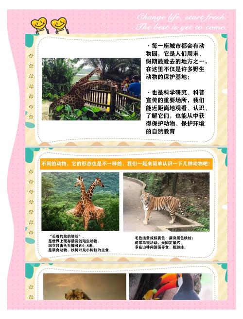 我要当园长下载,开启你的梦幻动物园经营之旅,打造独一无二的乐园!