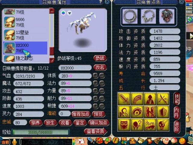梦幻西游无双版深度解析,黑熊精实力如何?技能全面分析