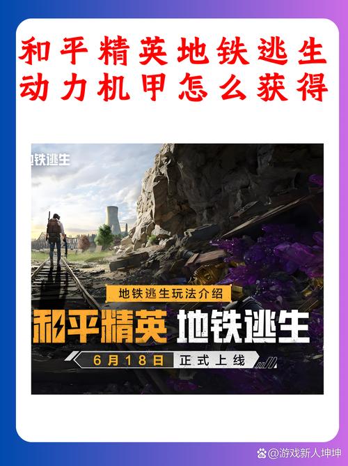 和平精英深度探索,载具自定义设置的独特奥秘与实用技巧大揭秘