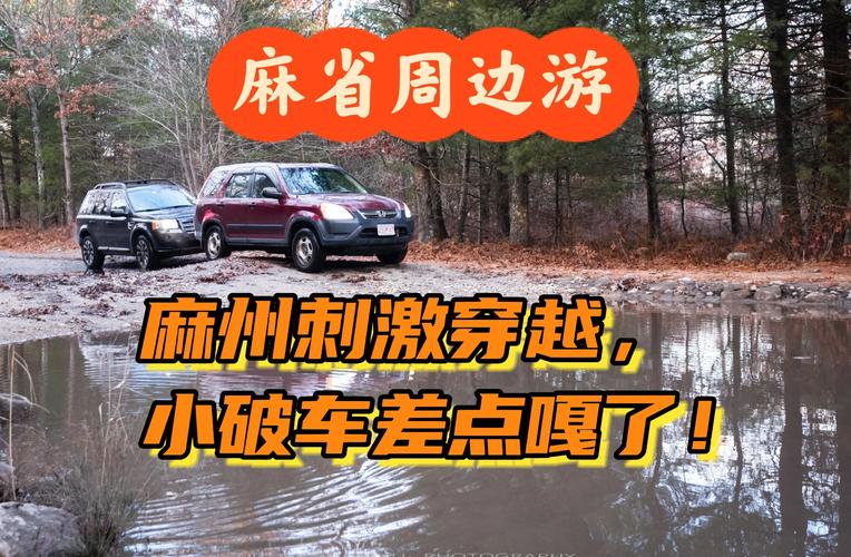 导航冒险王，高德地图国道探索版手游资讯——解锁国道导航新玩法，开启趣味探险之旅！