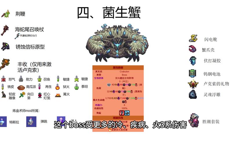 泰拉瑞亚腐化灾兵获取攻略及属性详解,解锁地牢神器,探索无限乐趣