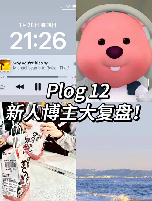 街篮高手成长秘籍大公开,新人必看指南,从零基础到制霸球场的飞跃技巧