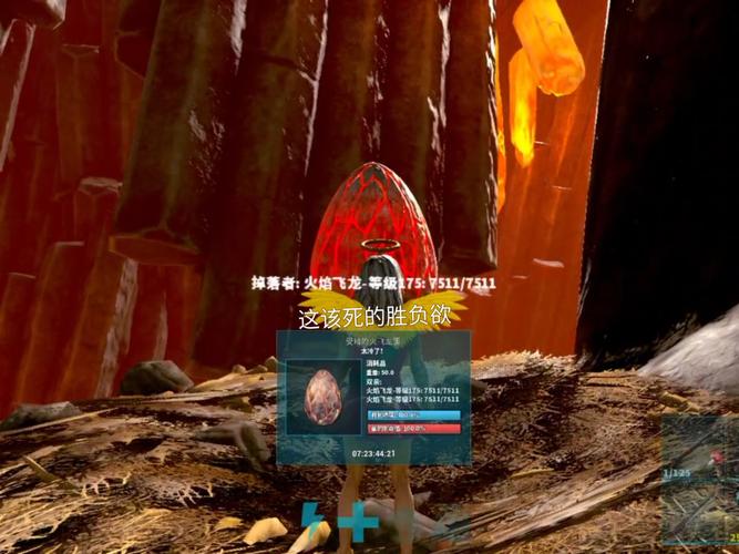 方舟，生存进化手游飞龙谷探险指南——揭秘神秘之地与趣味玩法