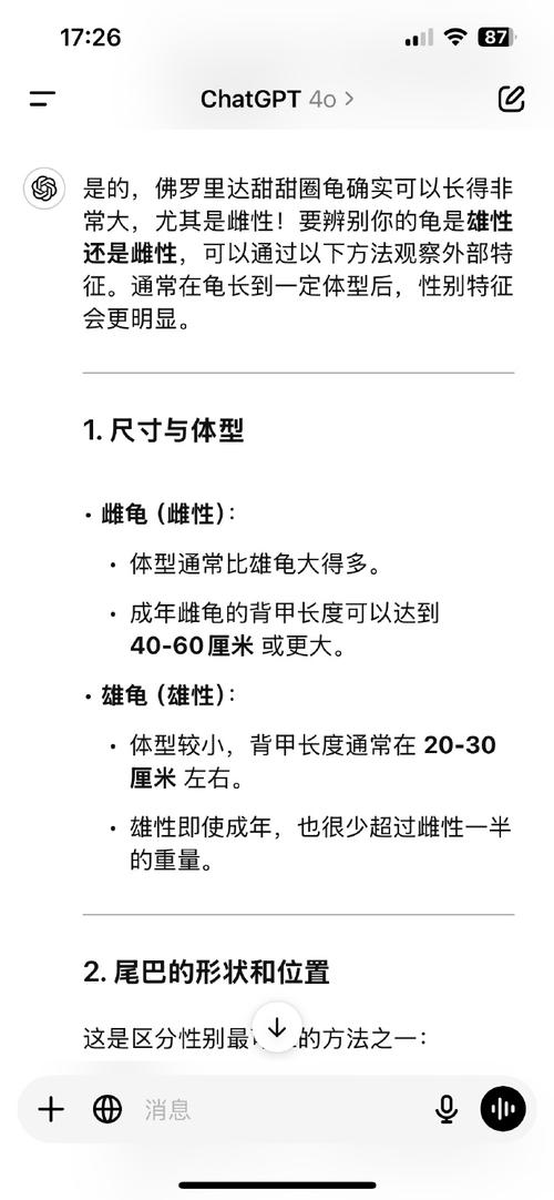 影之刃2老乌龟角色深度解析及最佳武器与刻印搭配推荐指南