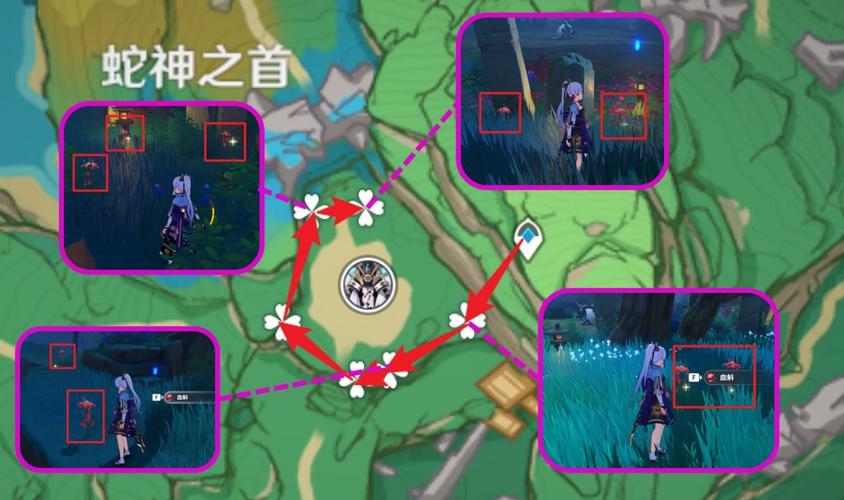 原神血斛采集攻略,最佳路线与趣味玩法揭秘