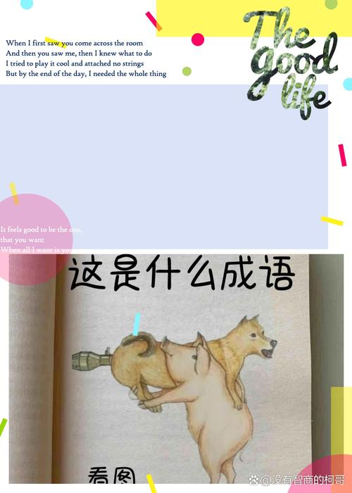 天天成语最新版本震撼发布，探索成语世界的智慧之旅
