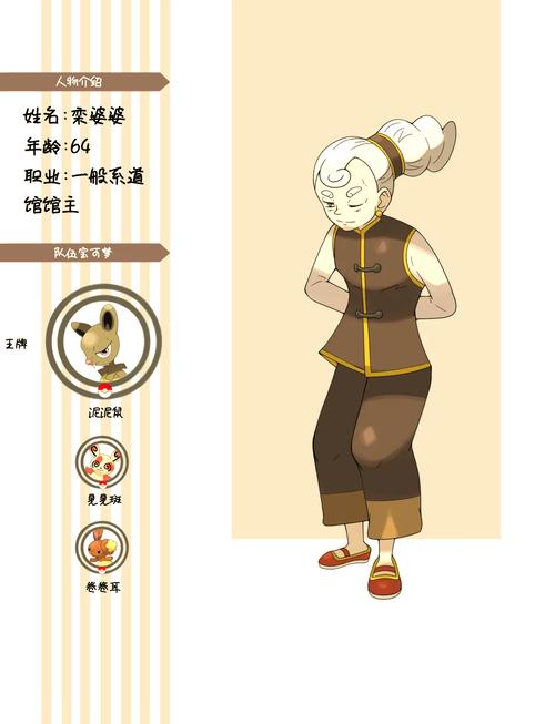 宝可梦,紫龙之秘境宝主探索之旅全面揭秘