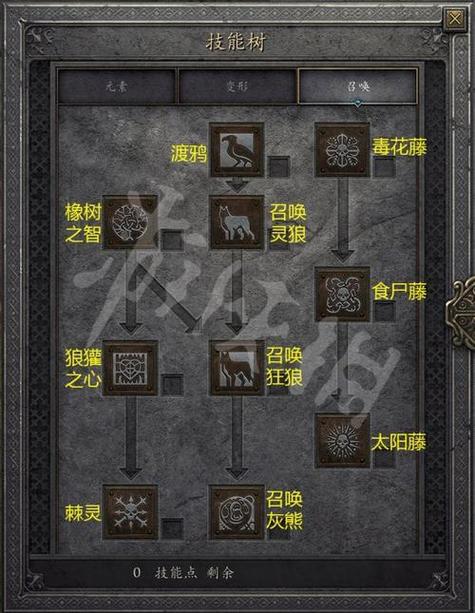 我叫MT4深度探索，德鲁伊秘技全攻略与小德高效技能搭配秘籍