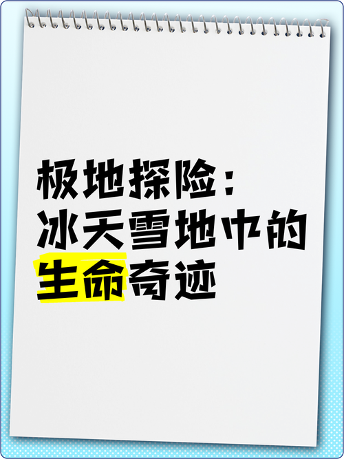 我的世界冰原探险,极寒之地的奇妙之旅全面介绍