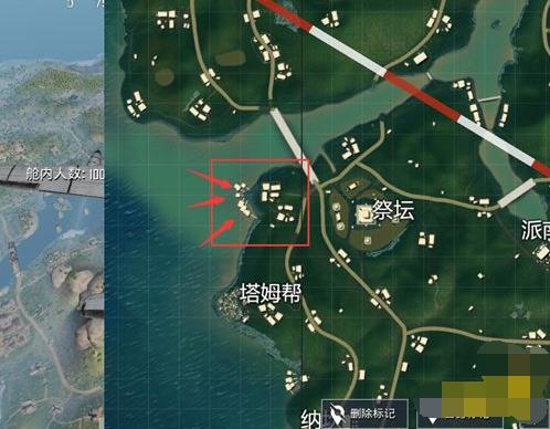 和平精英雨林地图制胜秘诀，全面剖析快速上分策略与趣味玩法