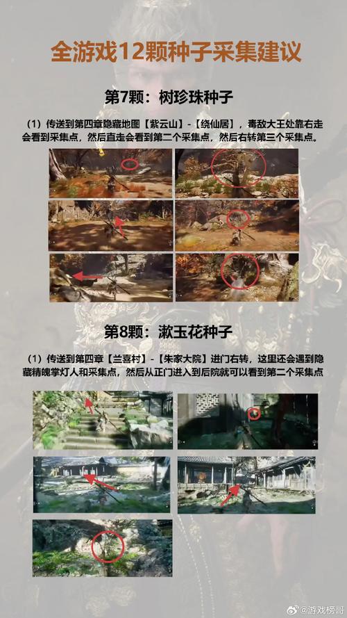黑神话悟空全种子获取攻略及趣味玩法揭秘