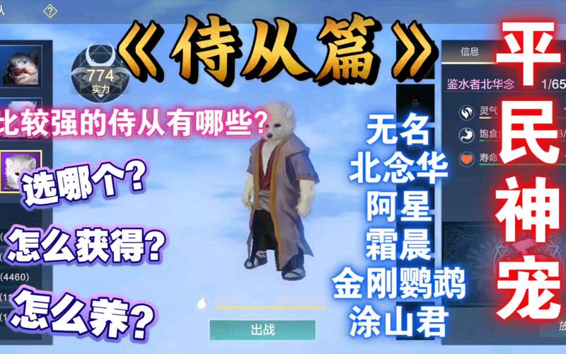 妄想山海侍从资质提升全攻略,打造你的专属强力侍从!