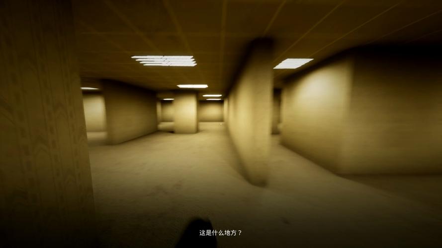后室Level 0下载，沉浸式恐怖逃生，体验感直接拉满！