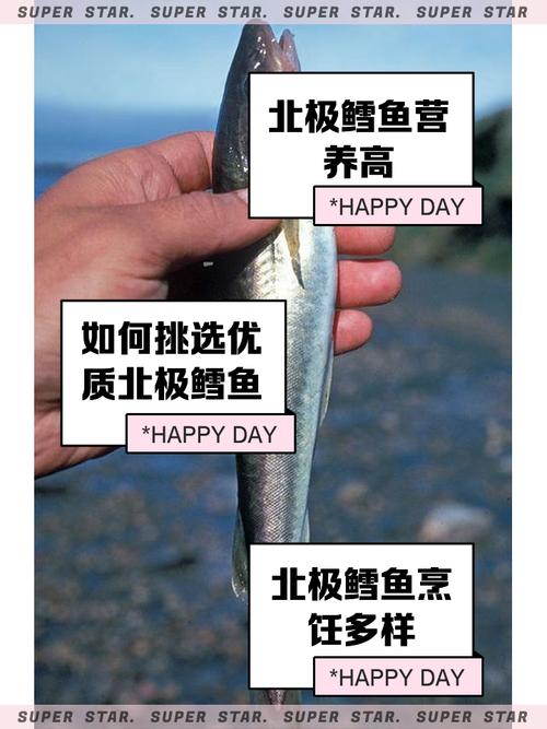 创造与魔法北极鳕鱼钓取深度指南,解锁极地钓鱼新乐趣