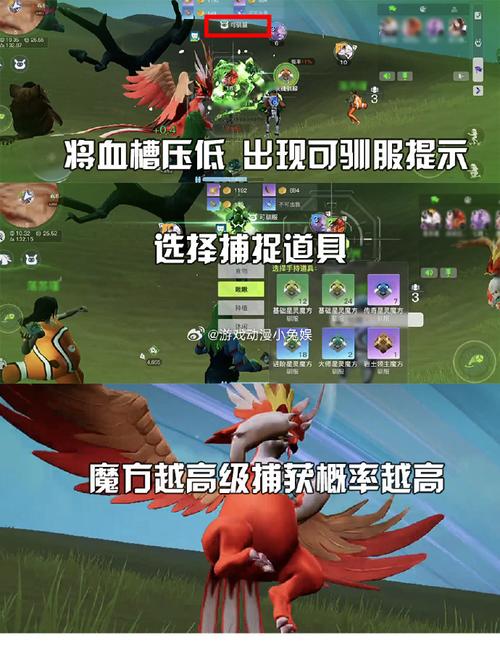 我们的星球攻略大全,新手开荒必备技巧与趣味玩法汇总