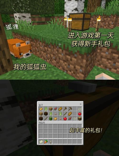 我的世界，神奇宝贝道具箱与树屋寻觅指南及趣味玩法揭秘