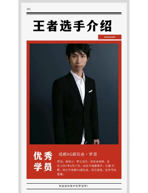 王者荣耀KPL职业联赛元老梦泪引领的电竞风云与游戏新玩法揭秘