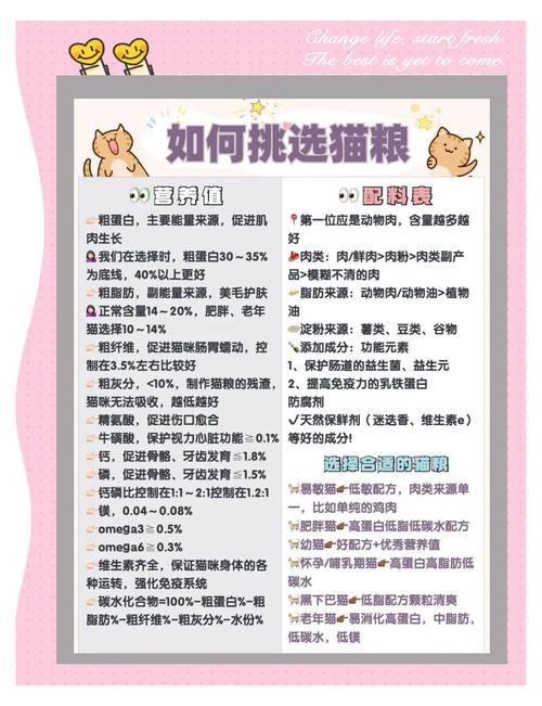 猫之城极品基因公式大全，打造梦幻猫咪乐园的终极秘籍