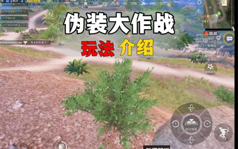 和平精英度假岛上分技巧,解锁海岛奇遇,制霸战场新攻略