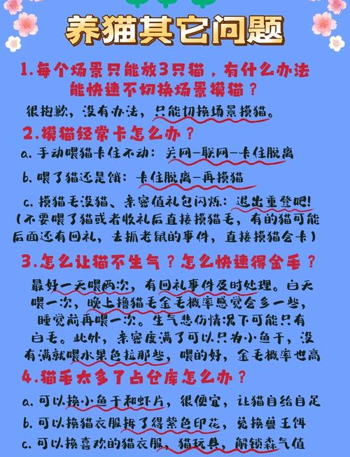 小森生活手游资讯,猫咪好感度亲密度提升秘籍,打造专属喵星人依赖之旅