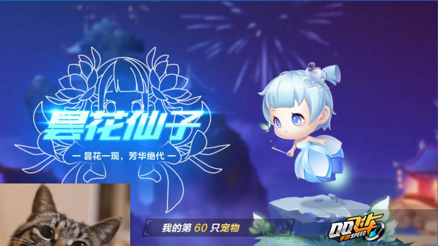 QQ飞车手游超强腾空宠物无常小黑上线时间回顾与玩法揭秘