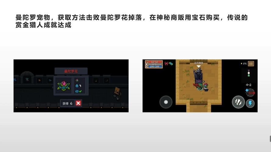 元气骑士植物作用全解析及趣味玩法探索