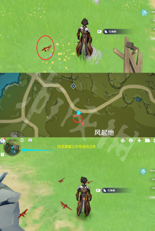 原神蜥蜴尾巴获取攻略及趣味玩法揭秘