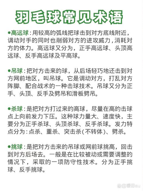 球球大作战高手进阶秘籍,解锁专业术语,提升游戏技巧全攻略