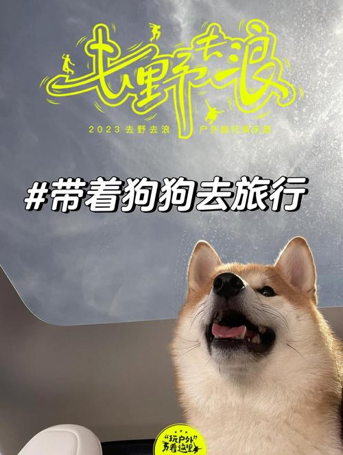 狗狗去旅行手游下载，萌宠相伴，开启休闲益智之旅