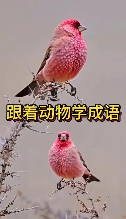 疯狂梗传,热门休闲新宠,解锁大脑新挑战,趣味无限等你来探!