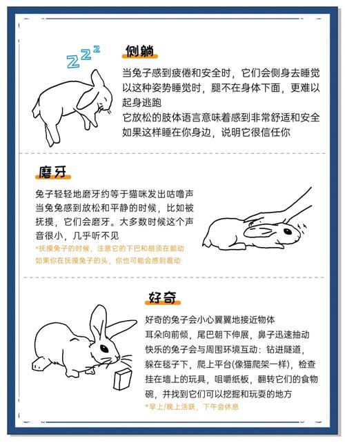 小森生活手游，兔子捕捉全面指南与趣味玩法揭秘