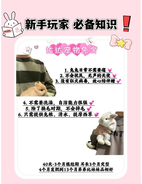 小森生活手游,兔子捕捉全面指南与趣味玩法揭秘