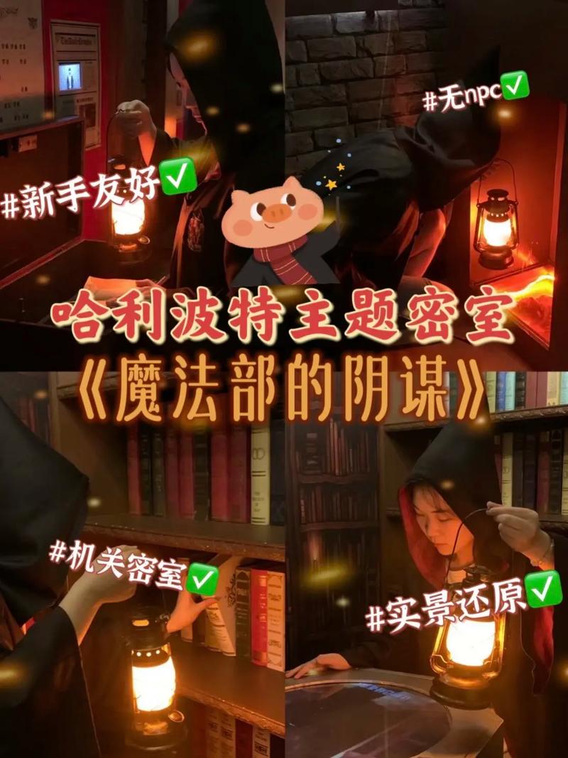 哈利波特:霍格沃茨之谜深度入门攻略与趣味玩法揭秘