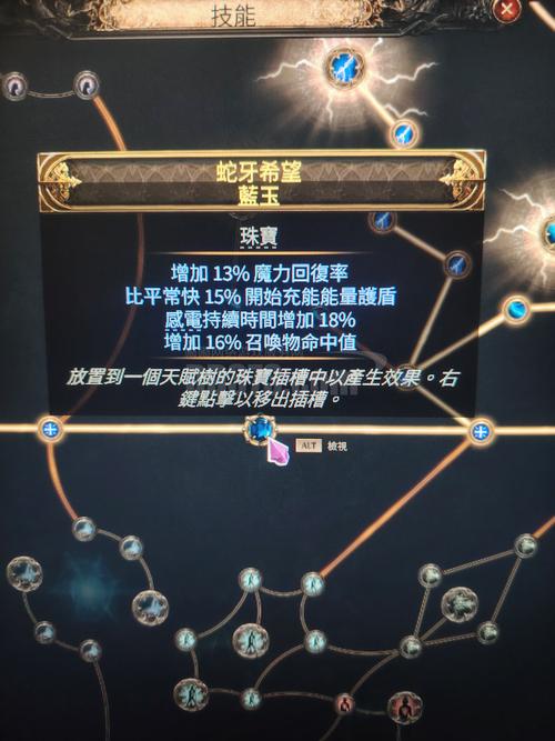 有杀气童话2圣盾加点及装备搭配全攻略,打造无敌坦克之路
