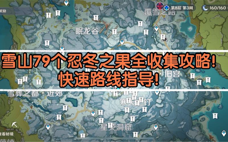 原神忍冬之果突破材料全解析及趣味玩法探索