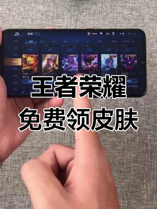 王者荣耀玩家必看，解锁皮肤索要功能等级揭秘及趣味玩法大揭秘