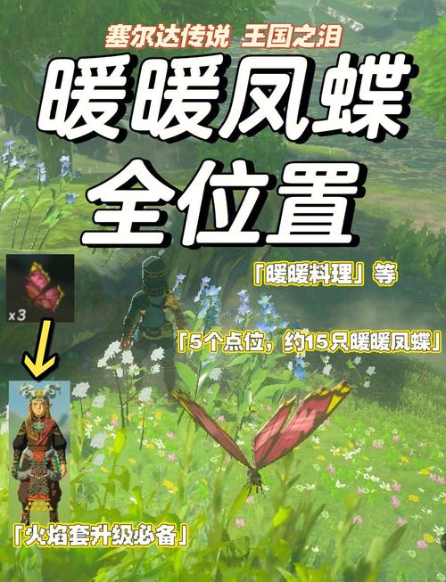 原神珊瑚蝶获取全攻略，揭秘细节助你轻松穿戴梦幻蝶翼