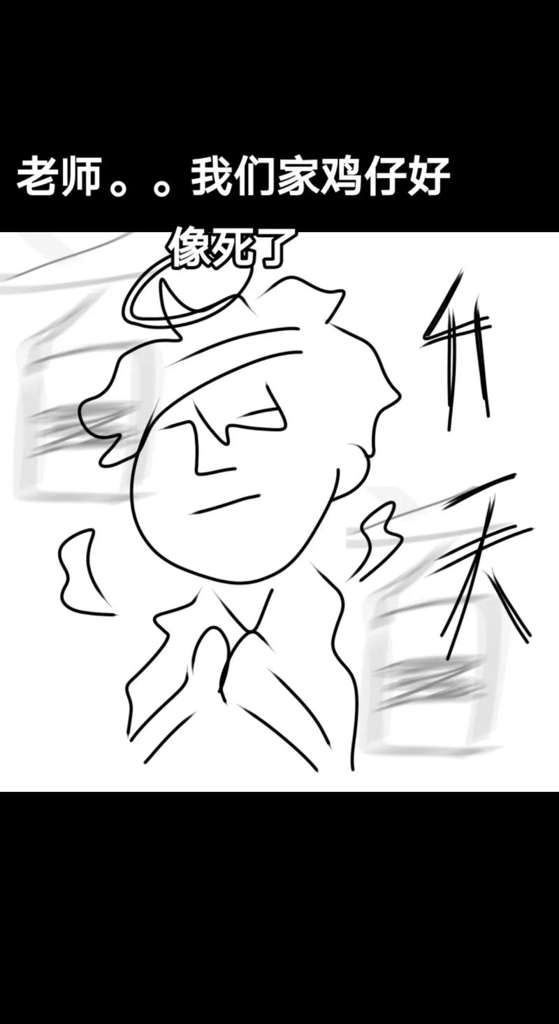 第五人格玩具商安妮天赋推荐及趣味玩法揭秘