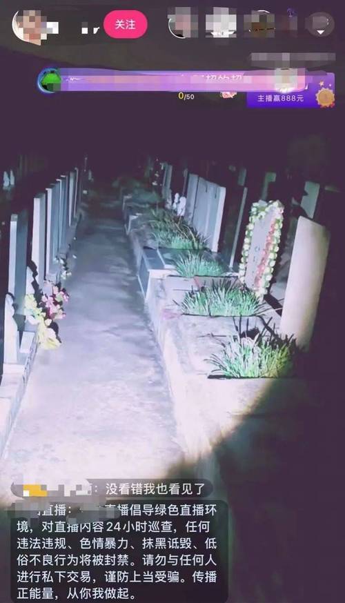 刺激战场美女主播深夜探险,揭秘雨林地图隐藏宝藏与神秘信号