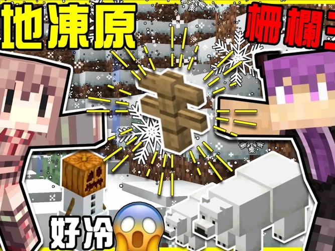 冰原守卫者,生存之道与食物制作秘籍震撼发布,探索极寒世界的无尽魅力
