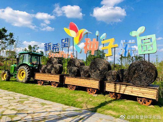 凌云诺萌娃养成玩具获取全攻略，打造专属童趣乐园