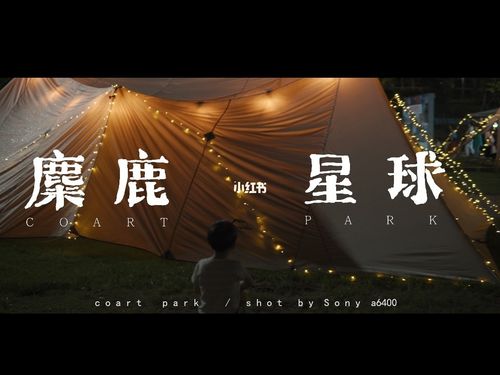 星球重启磁浮木马制作全攻略及趣味玩法详解