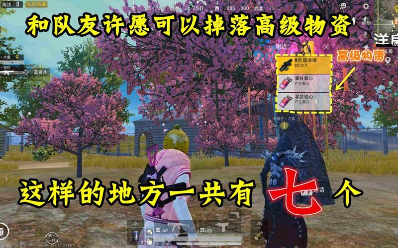 和平精英祈愿树下祈愿新玩法全揭秘，浪漫与竞技的完美碰撞
