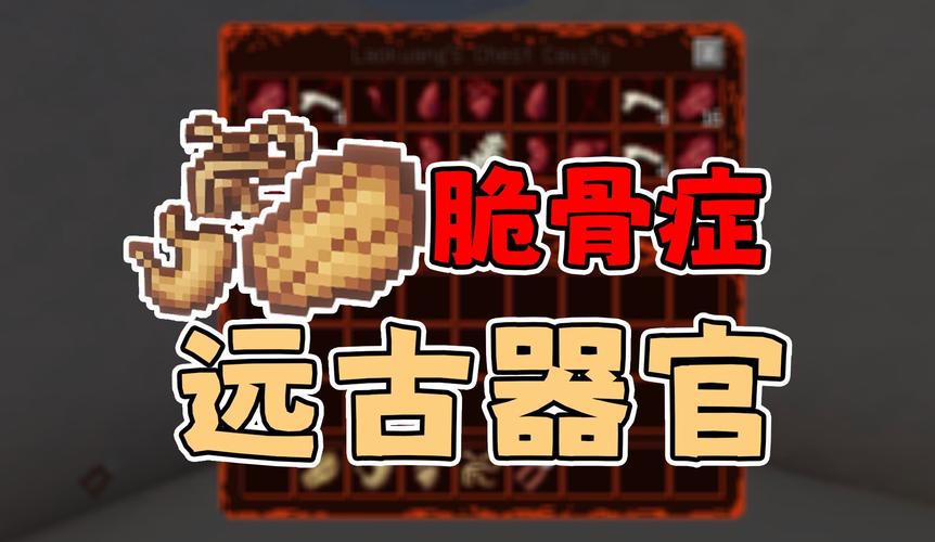 我的世界中骨头的多样用途与趣味玩法探索