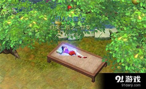 武林外传手游资讯,揭秘渔网获取途径及趣味玩法大揭秘