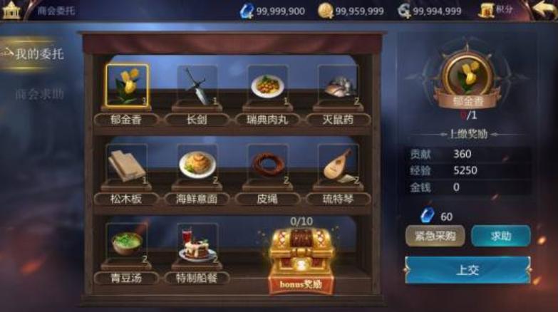 大航海之路,占卜师的咒术智慧之旅深度揭秘与趣味玩法介绍