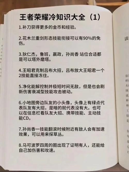 王者荣耀深度探索,那些鲜为人知的冷知识与趣味玩法揭秘
