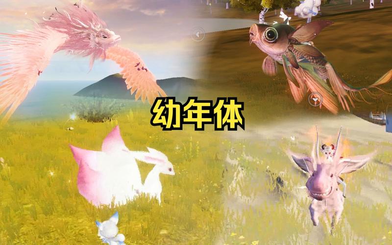 侍从与宠物的力量对决，妄想山海输出之巅震撼来袭！